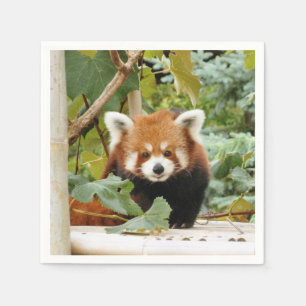 Guardanapo De Papel Red Panda