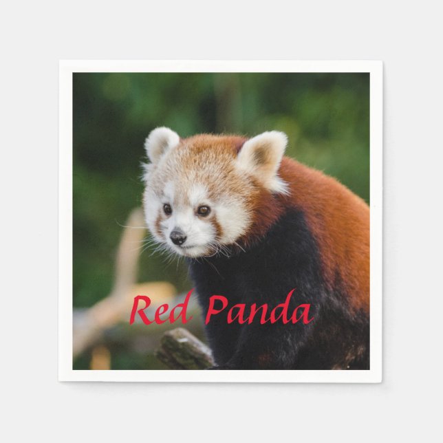 Guardanapo De Papel Red Panda Bear (Frente)