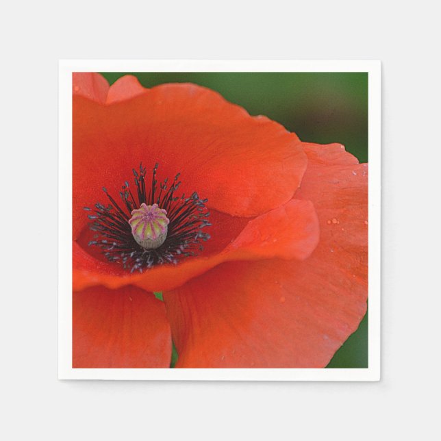 Guardanapo De Papel Red Poppy Napkin (Frente)