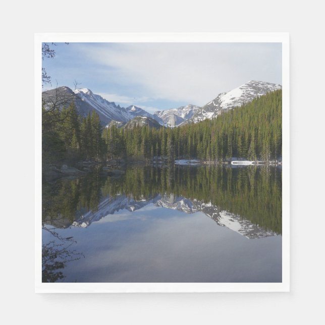 Guardanapo De Papel Reflexão do Lago Urso II (Frente)