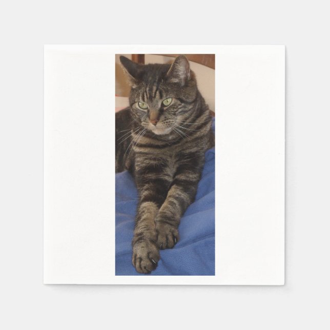 Guardanapo De Papel Regal Dave White Standard Napkins (Frente)
