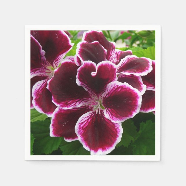 Guardanapo De Papel Regal Geranium Flores Elegantes Maroon Floral Lugg (Frente)