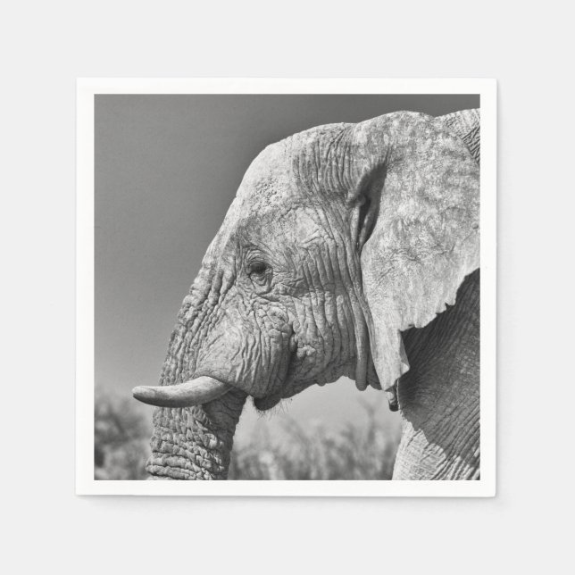 Guardanapo De Papel Retrato de elefante (Frente)
