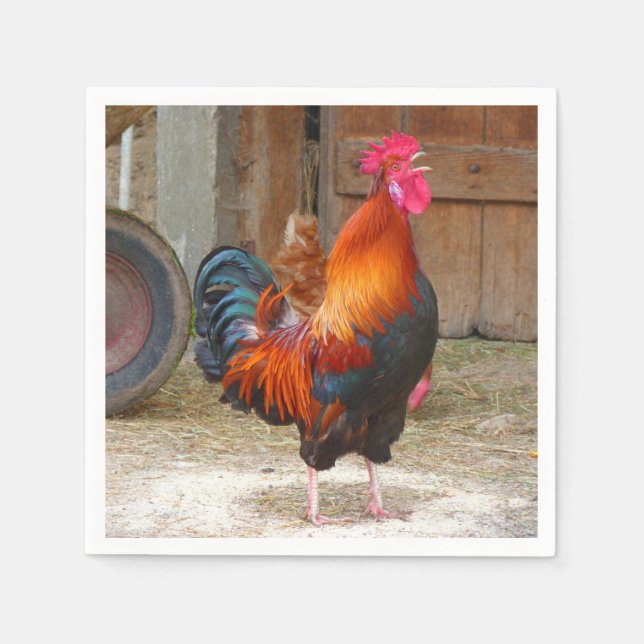 Guardanapo De Papel Rhode Island Red Rooster Crowing em Barnyard (Frente)