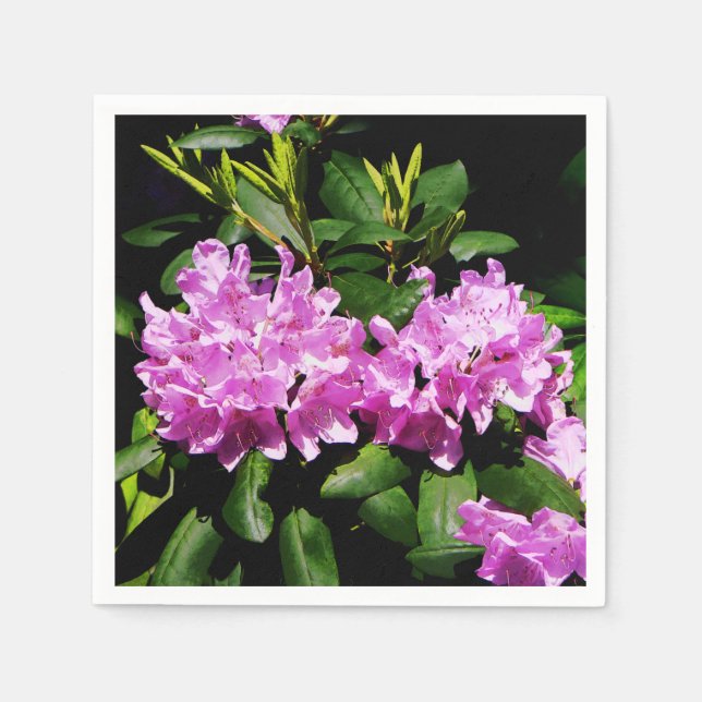 Guardanapo De Papel Rhododendron Closeup (Frente)
