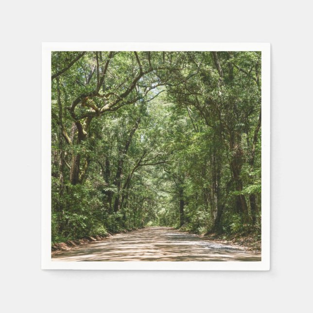 Guardanapo De Papel Road To Angel Oak (Frente)