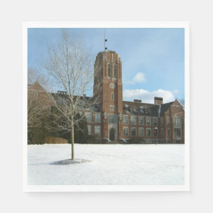 Guardanapo De Papel Rockwell no inverno no Grove City College