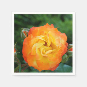 Guardanapo De Papel Rosa Padrão Cocktail Napkin