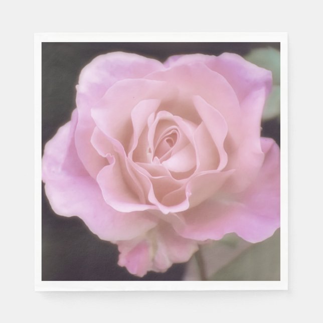 Guardanapo De Papel Rosa rosa magnífica (Frente)