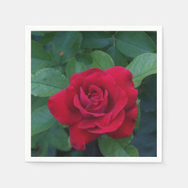 Guardanapo De Papel Rosa vermelha para fechar