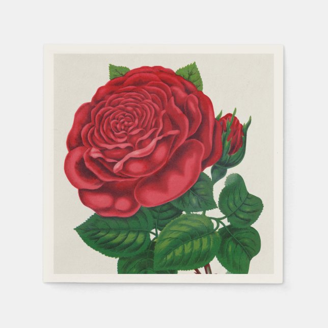 Guardanapo De Papel Rose Print Rochester Lithographing and Printing Co (Frente)