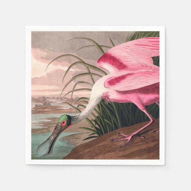 Guardanapo De Papel Roseate Spoonbill Audubon Bird Willife (Frente)