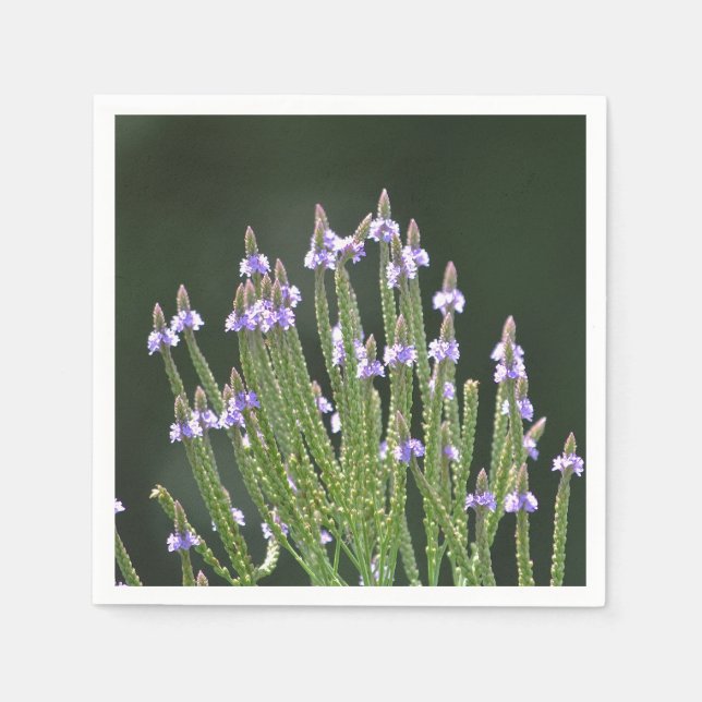 Guardanapo De Papel Roxo (Frente)