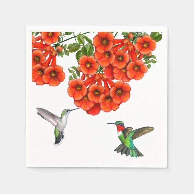 Guardanapo De Papel Ruby Throated Hummingbird Casal Napkins (Frente)