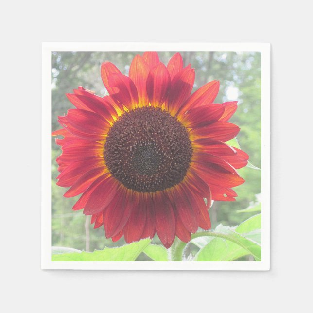 Guardanapo De Papel Rusty Red Sunflower Napkin (Frente)
