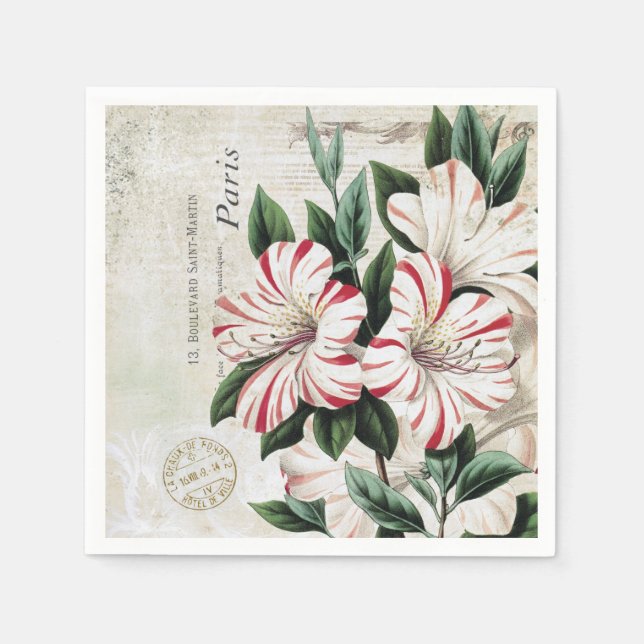 Guardanapo De Papel sabiá francês de vintage moderno (Frente)