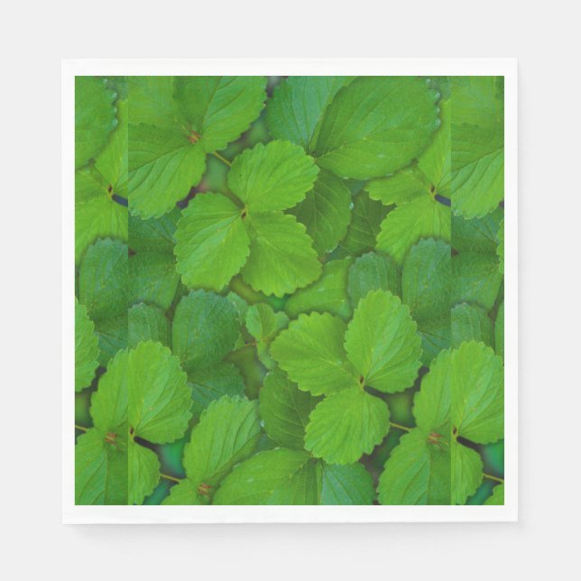 Guardanapo De Papel Santo Basil Tulsi Green Mint Folhas (Frente)