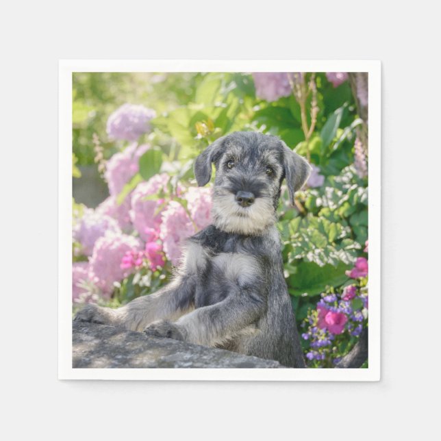 Guardanapo De Papel Schnauzer Puppy Padrão em Jardim Flor - (Frente)