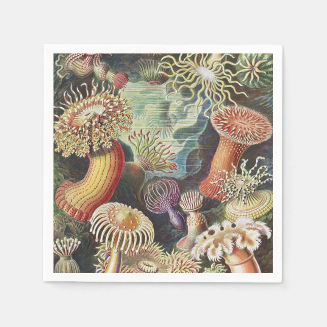 Guardanapo De Papel Sea Anemones, Actiniae Seeanemonen Ernst Haeckel (Frente)