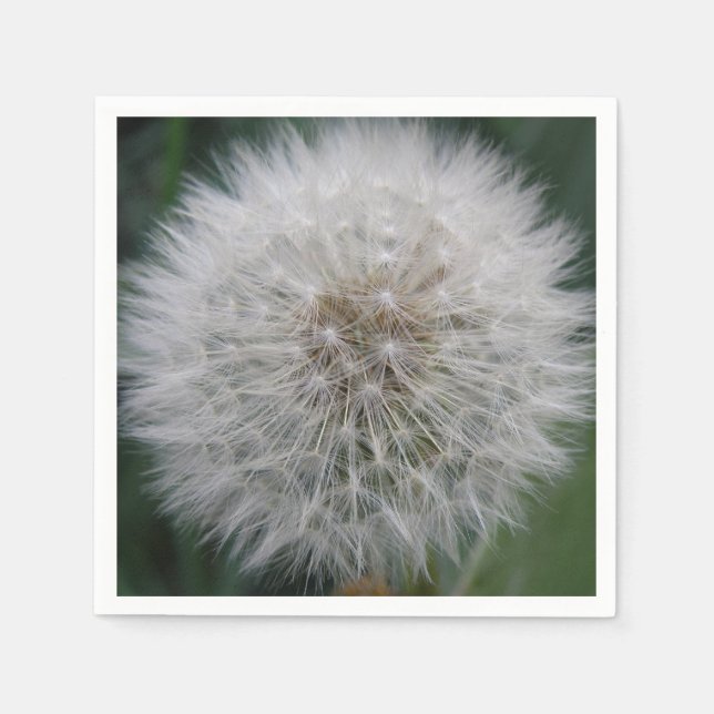 Guardanapo De Papel Seeding Dandelion Flower Napkins (Frente)