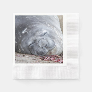 Guardanapo De Papel Selo elefante dormente