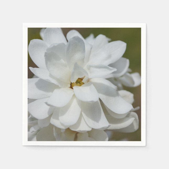 Guardanapo De Papel Silky Magnoly (Frente)