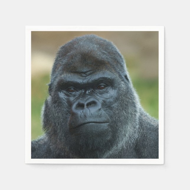 Guardanapo De Papel Silverback (Frente)