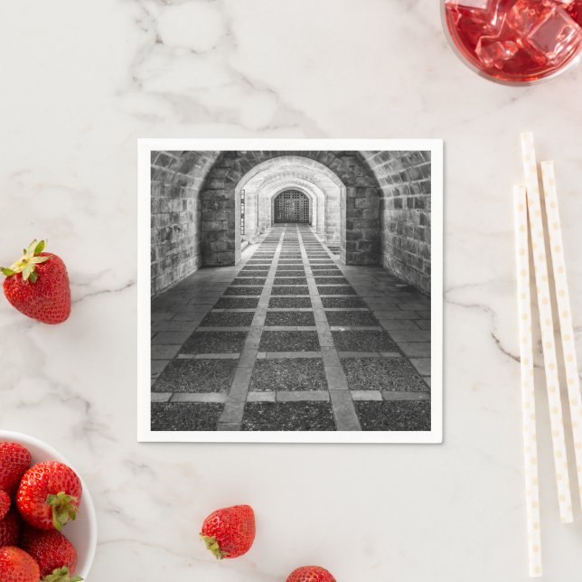 Guardanapo De Papel Simetria em preto e branco (Insitu)