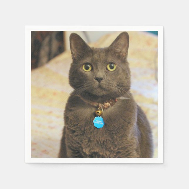 Guardanapo De Papel Sinais (Frente)