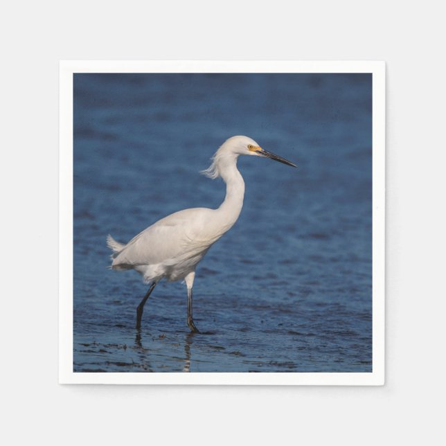 Guardanapo De Papel Snowy Egret em North Beach (Frente)
