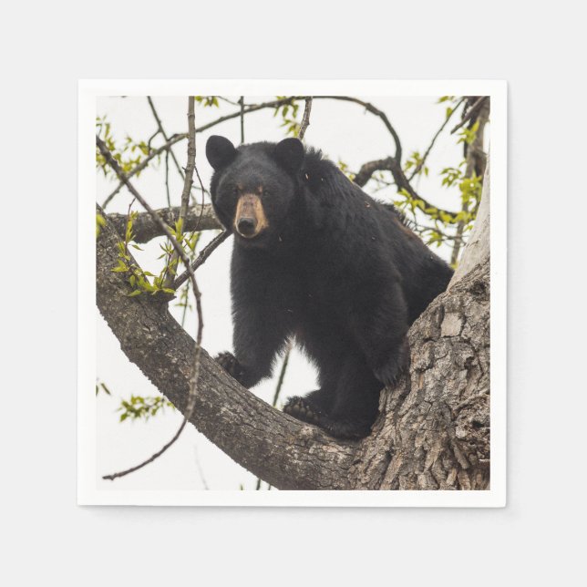 Guardanapo De Papel Sobe Urso Negro (Frente)
