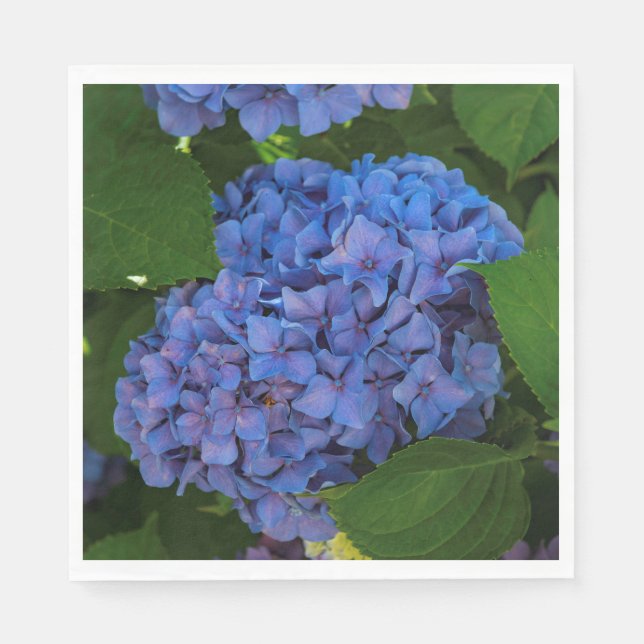 Guardanapo De Papel Sombras De Azul - A Hídrangea Azul (Frente)