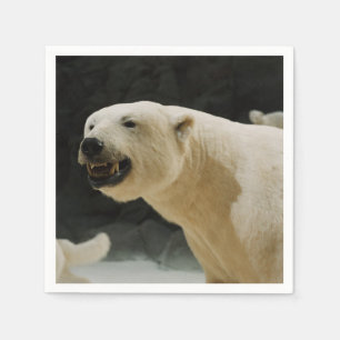 Guardanapo De Papel Sorriso de Urso Polar