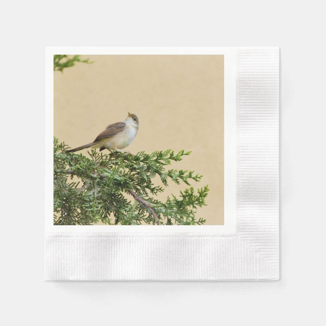 Guardanapo De Papel Sparrow (Frente)