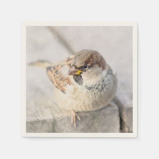 Guardanapo De Papel Sparrow - Após o Transatlântico (Frente)