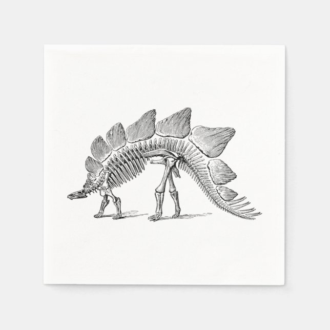 Guardanapo De Papel Stegossauro Dinossauro Esqueleto Fóssil (Frente)