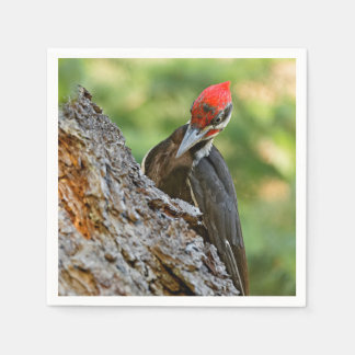 Guardanapo De Papel Stunning Portrait of Pileated Woodpecker on Tree
