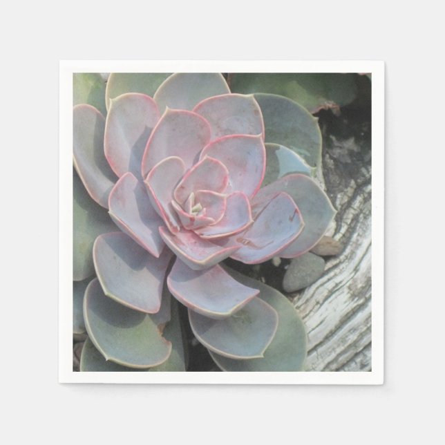 Guardanapo De Papel Succulent Napkin (Frente)