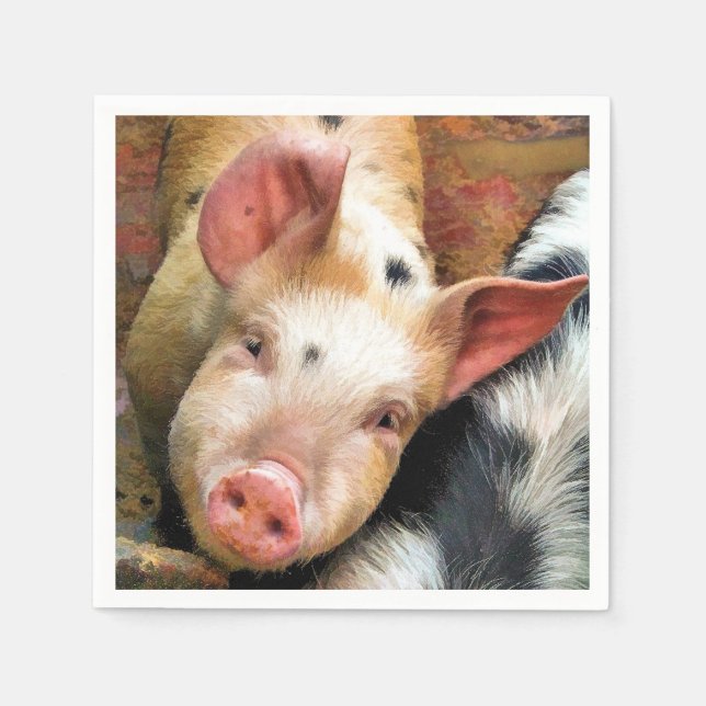 GUARDANAPO DE PAPEL SUÍNOS (Frente)