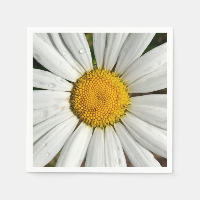 Guardanapo De Papel Summer Daisy Paper Napkins (Frente)