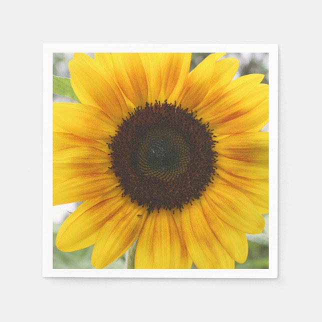 Guardanapo De Papel Summer Sunflower Paper Napkin (Frente)