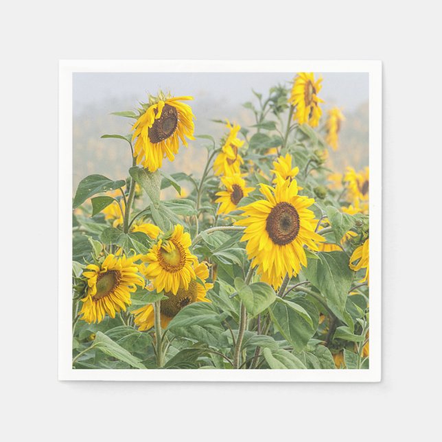Guardanapo De Papel Sunflower Field Amarelo Verde Belo Floral (Frente)