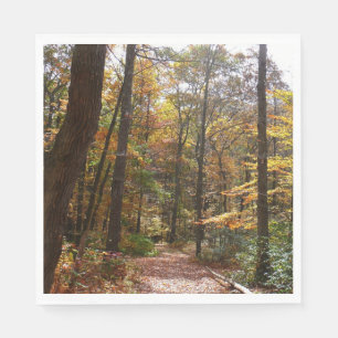 Guardanapo De Papel Sunlit Fall Trail no Parque Estadual de Laurel Hil
