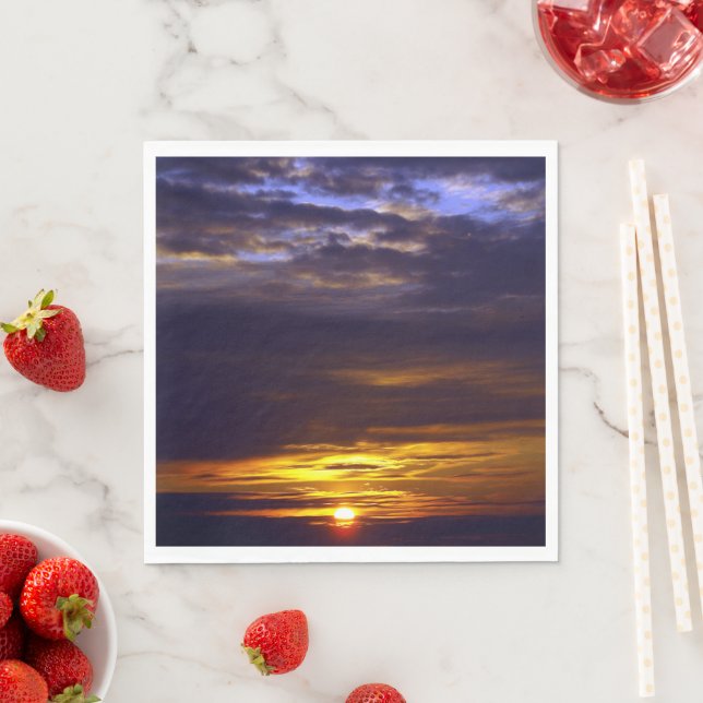 Guardanapo De Papel Sunset Beach Standard Luncheon Paper Napkins 41 (Insitu)