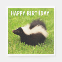 Super Cute Skunk Birthday
