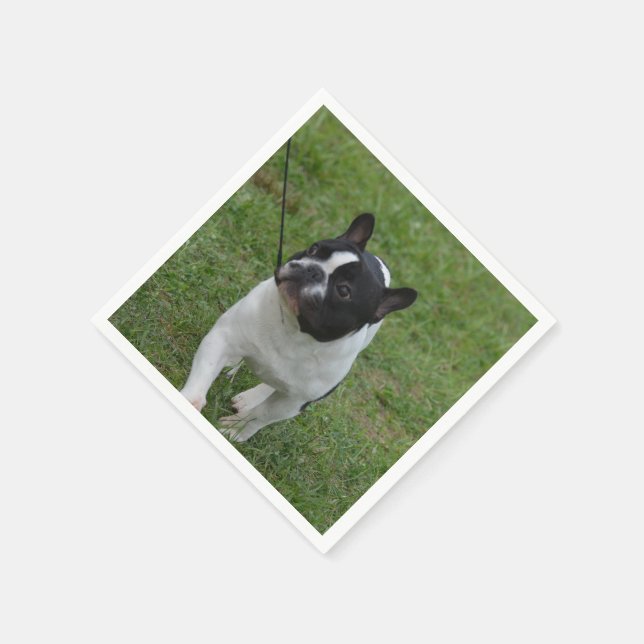 Guardanapo De Papel Sweet French Bulldog (Canto)