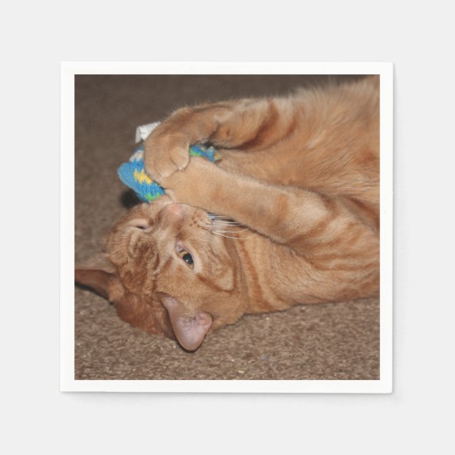 Guardanapo De Papel Tater (Frente)