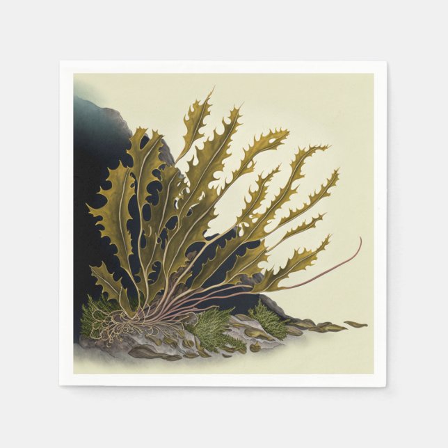 Guardanapo De Papel Tidal Fronds (Frente)