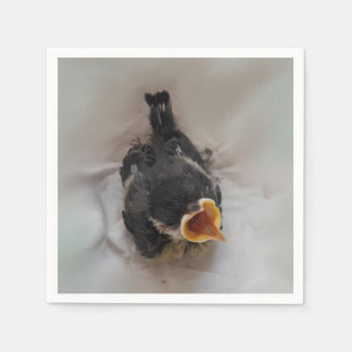 Guardanapo De Papel Tidi, meu Pássaro, o Parus Major