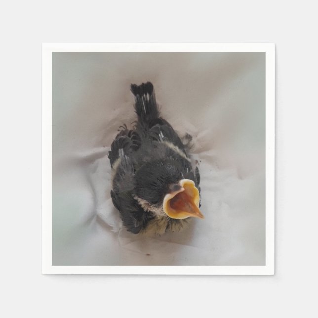 Guardanapo De Papel Tidi, meu Pássaro, o Parus Major (Frente)